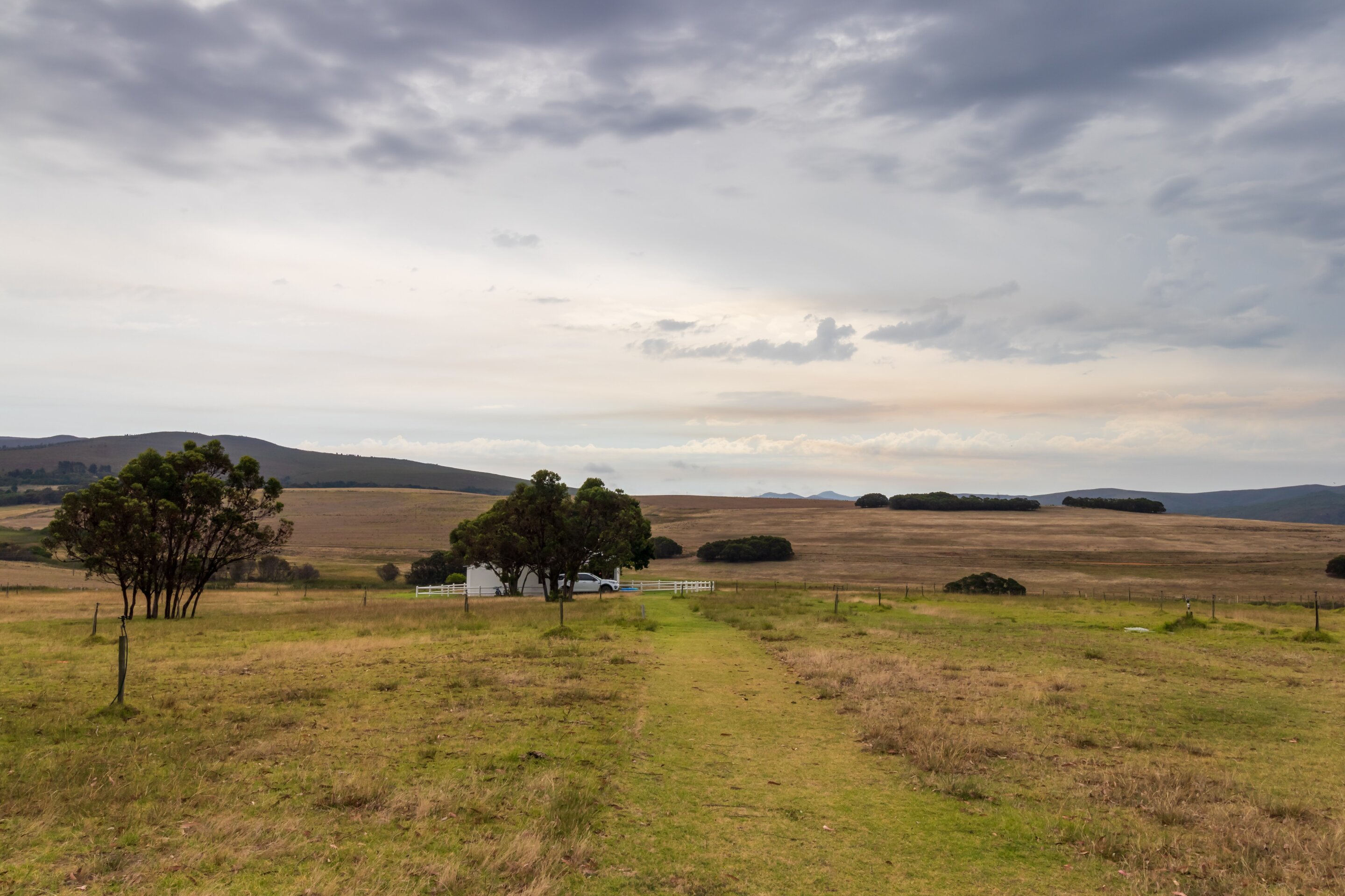 Field