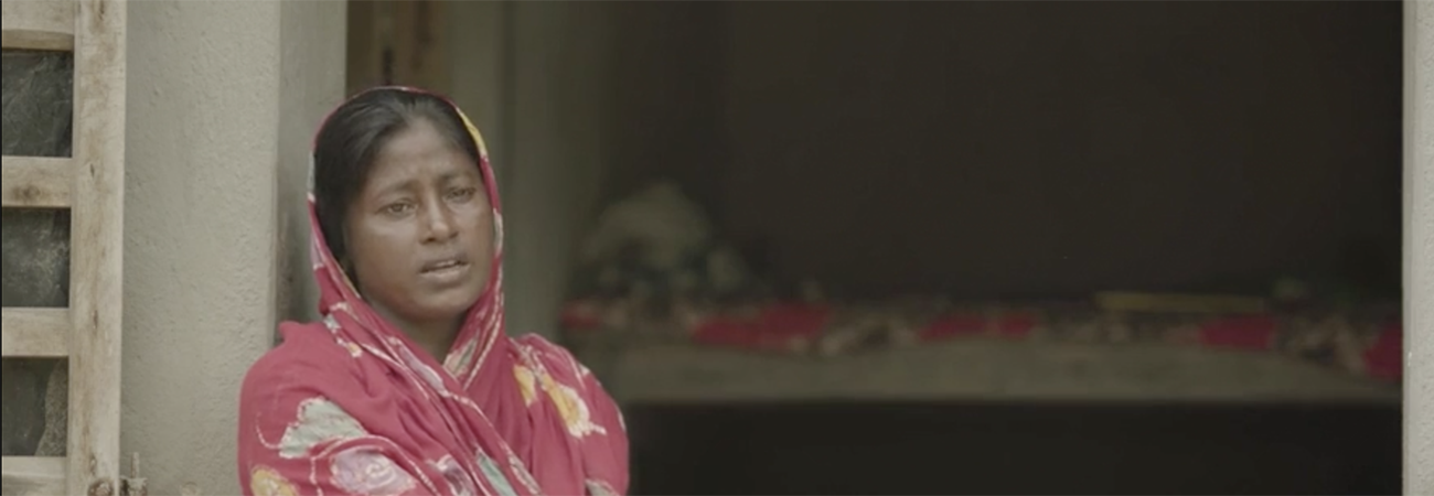 Still from Save the Sundarbans student film
