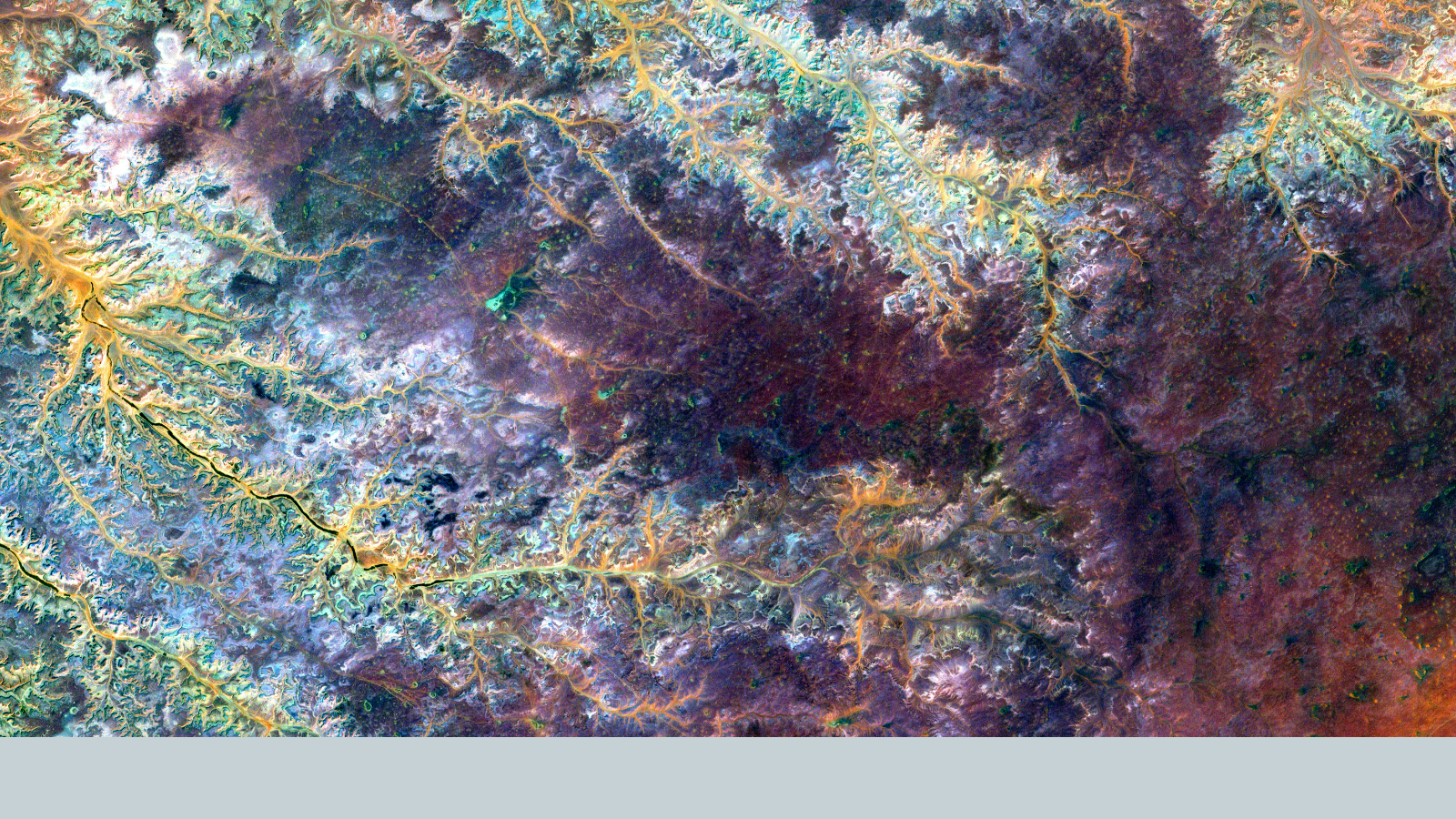coral reef